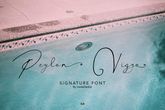 Peylon Viggo: A Font for Polished Branding